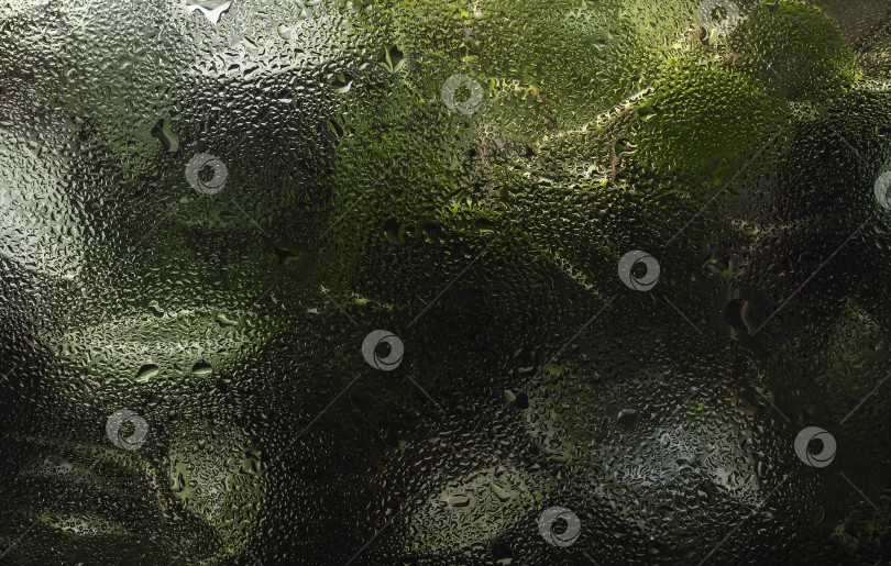 Скачать Абстрактный цветочный фон сквозь стекло с каплями воды. фотосток Ozero