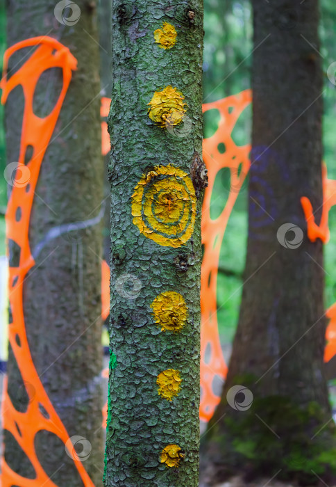 Скачать Психоделические Узоры И Украшения на Деревьях В Лесу фотосток Ozero