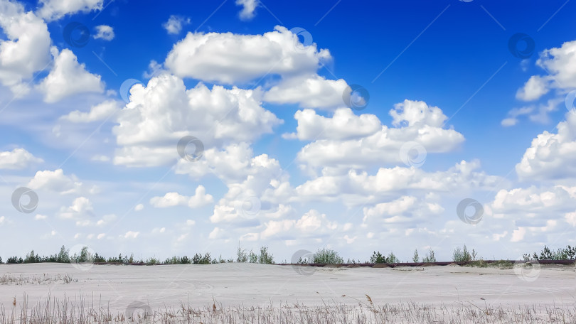 Скачать Пейзаж с кучевыми белыми облаками фотосток Ozero