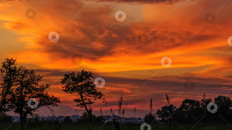 Скачать Пейзаж с темно-оранжевым и желтым грозовым облачным небом фотосток Ozero