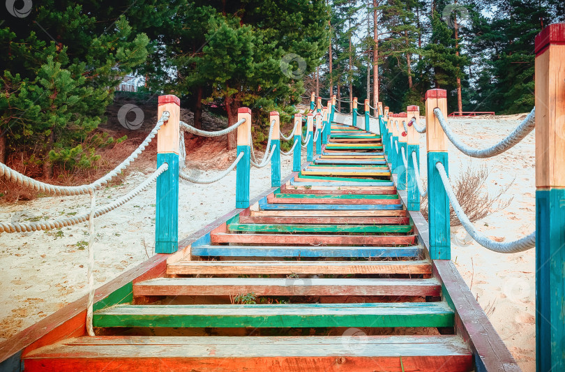 Скачать Цветная Деревянная Лестница На Пляже Среди Сосен фотосток Ozero