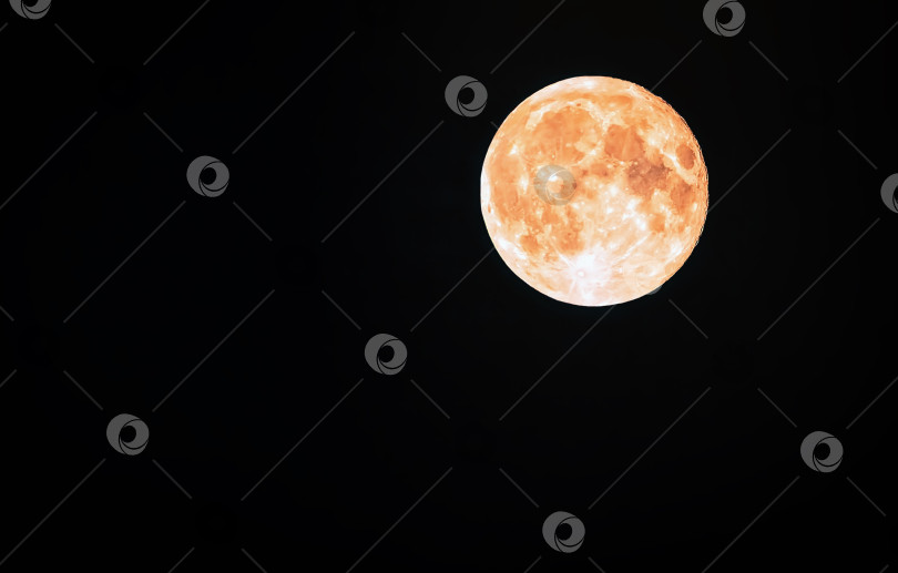 Скачать Полная Луна в Черном небе фотосток Ozero