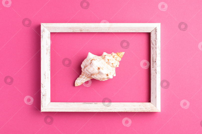 Скачать Летняя минималистичная композиция с морской ракушкой и деревянной фоторамкой на розовом фоне. фотосток Ozero