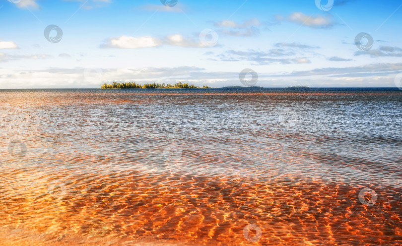 Скачать Маленький отдаленный остров среди прозрачной воды под ясным голубым небом фотосток Ozero