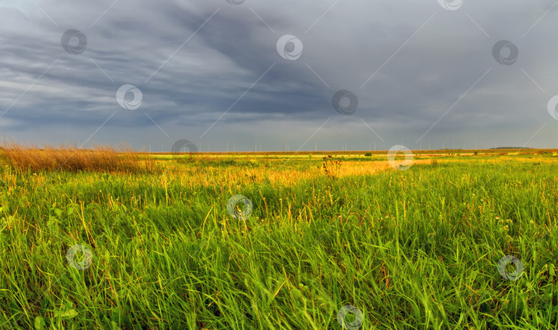 Скачать Летнее поле перед грозой фотосток Ozero