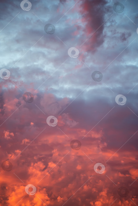 Скачать Абстрактный фон вечернего неба с облаками. фотосток Ozero