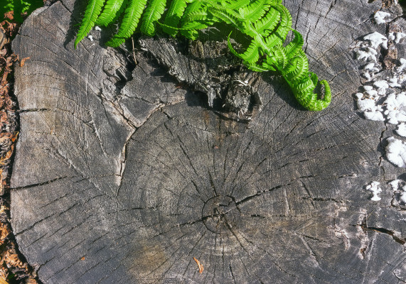 [object Object] undefined