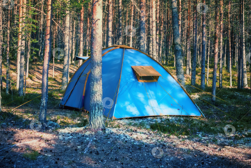 Скачать Голубая палатка в Летнем лесу фотосток Ozero