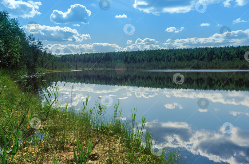 Скачать Летний пейзаж с Отражением Неба на Воде фотосток Ozero