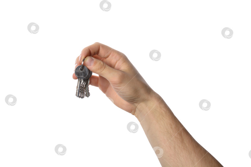 Скачать мужская рука, держащая ключи. Символ покупки чего-либо фотосток Ozero