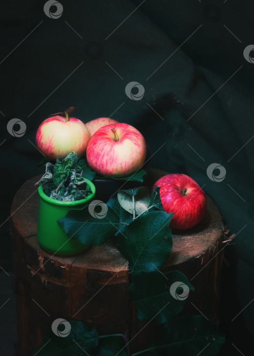 Скачать Спелые яблоки и сушеная мята фотосток Ozero