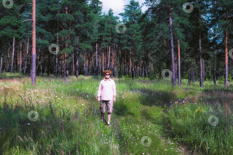 Скачать Человек, идущий по сосновому лесу фотосток Ozero