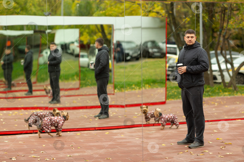 Скачать Отражение мужчины в уличной зеркальной стене, гуляющего с собаками фотосток Ozero