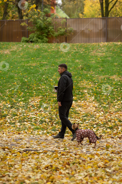 Скачать Мужчина гуляет по парку с собакой и кофе фотосток Ozero