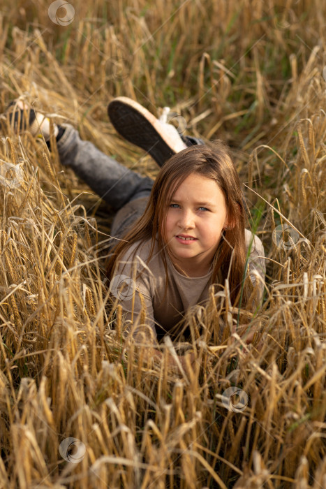 Скачать Девочка-подросток лежит на ржаном поле фотосток Ozero