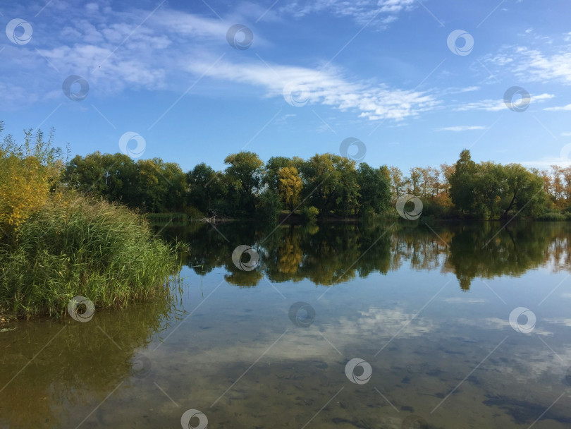 Скачать Пейзаж. Вид на пруд фотосток Ozero