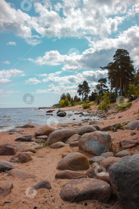 Скачать Берега Ладожского озера фотосток Ozero