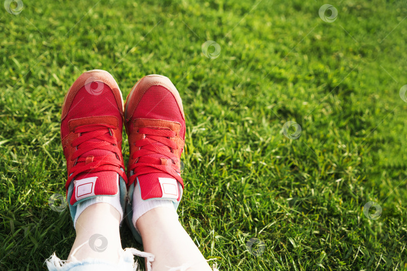 Скачать женские ножки в кроссовках на фоне зеленой травы фотосток Ozero