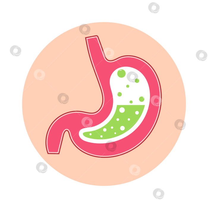 Скачать Желудок наполнен кислотой и газами. Тема здоровья желудка. фотосток Ozero