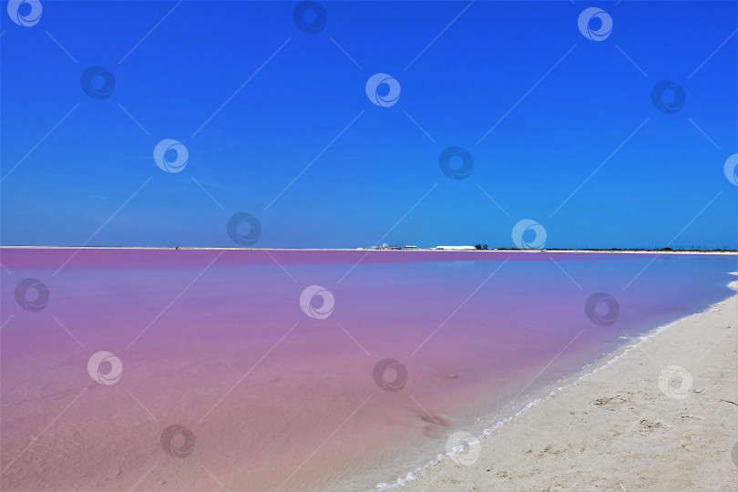 Скачать Розовое соленое озеро в Мексике. фотосток Ozero