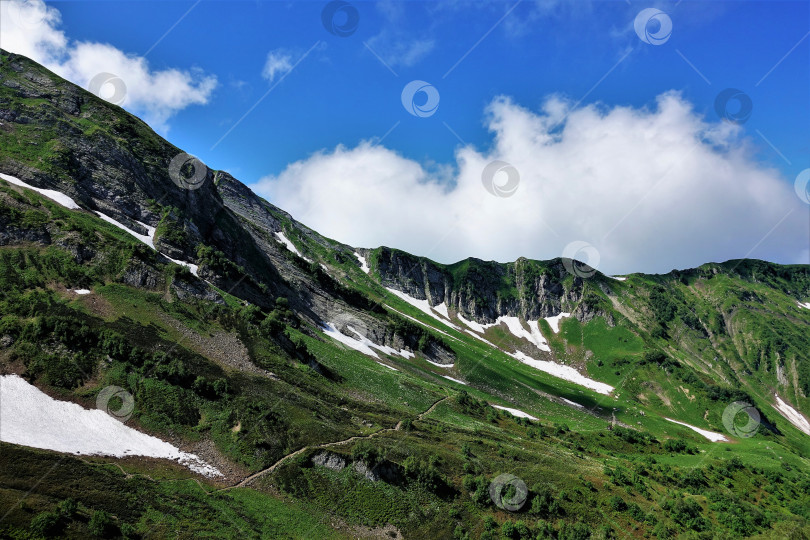 Скачать Тропа по альпийским лугам в горах Красной Поляны. Лето. фотосток Ozero