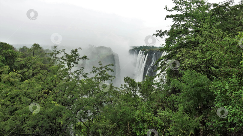Скачать Водопад Виктория, Замбия. Мощные потоки воды низвергаются в пропасть фотосток Ozero