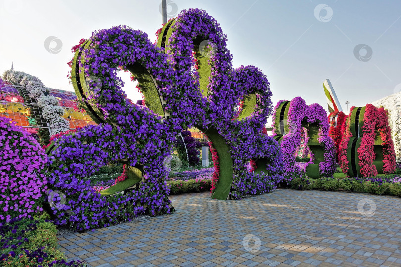 Скачать Дубайский цветочный сад. Большие инсталляции в форме лепестков фотосток Ozero