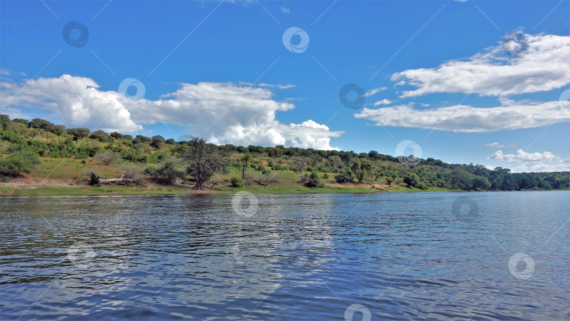 Скачать Ботсвана. Спокойная река. Облака отражаются в голубой воде. фотосток Ozero