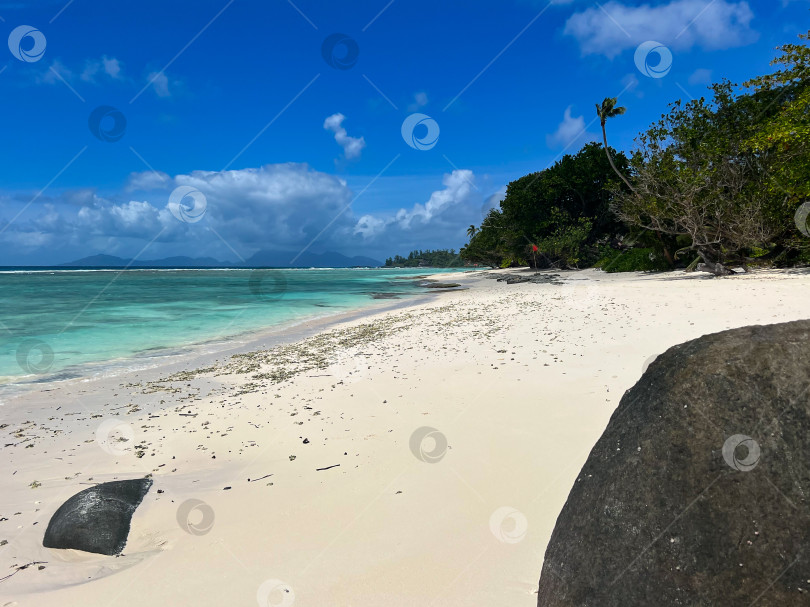 Скачать Панорама пустого пляжа с белом песком и тропической зеленью фотосток Ozero