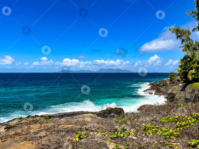 Скачать Вид на океан со скал на Сейшелах фотосток Ozero