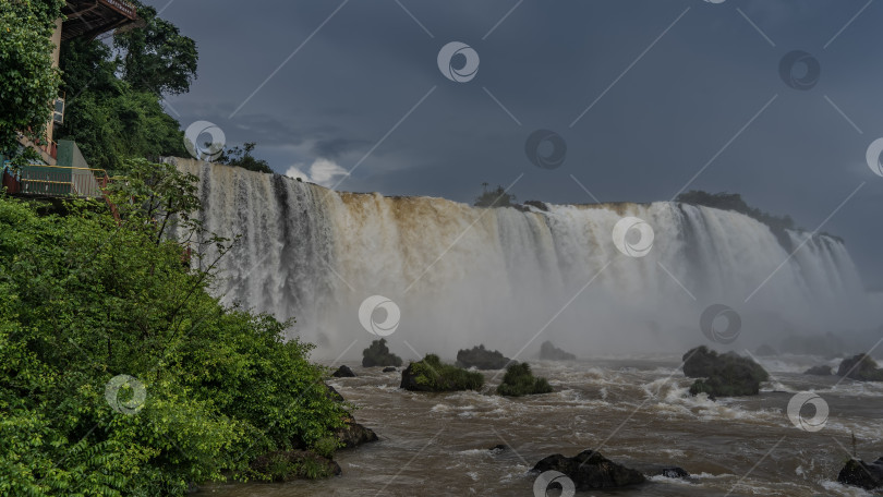 Скачать Водопад Игуасу. Мощные потоки воды спускаются с края уступа. фотосток Ozero