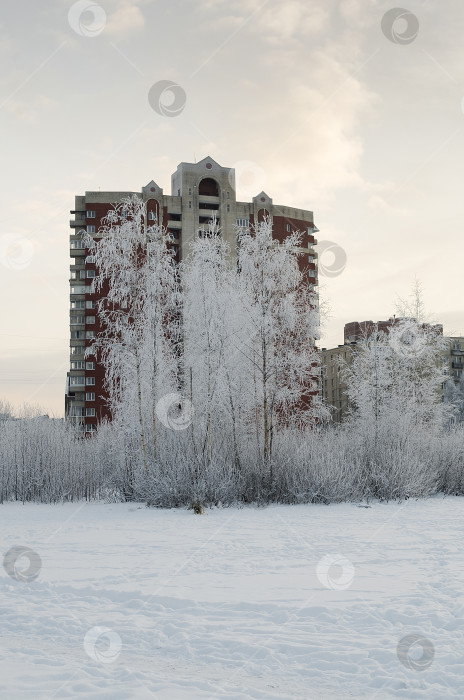 Скачать морозный день фотосток Ozero