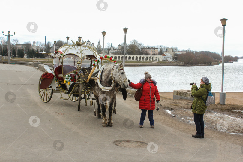 Скачать Фотография лошади с экипажем. фотосток Ozero