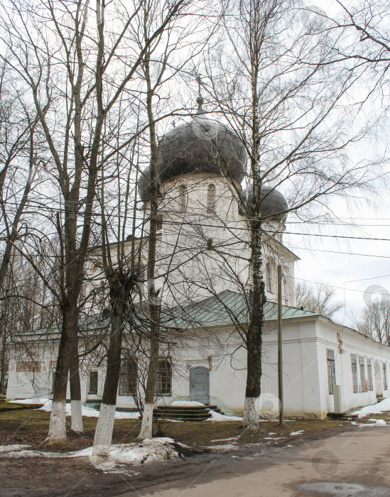 Скачать Монастырский собор из деревьев. фотосток Ozero