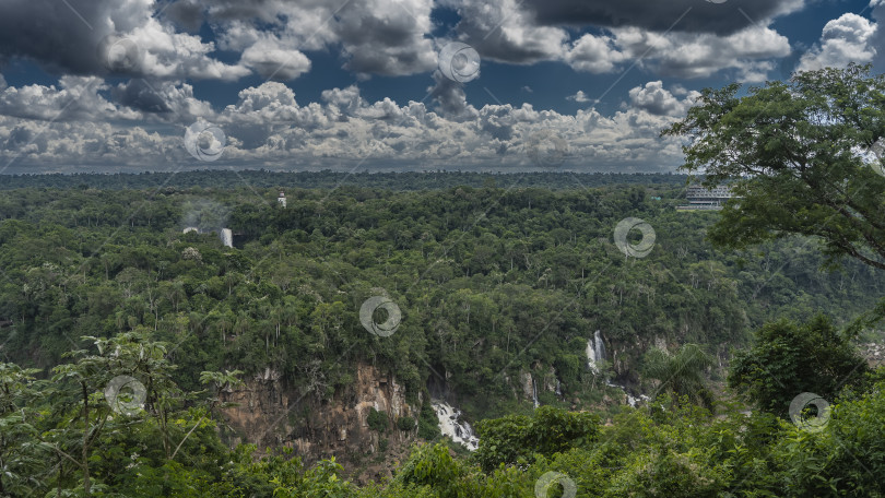 Скачать Тропический лес простирается до самого горизонта. фотосток Ozero