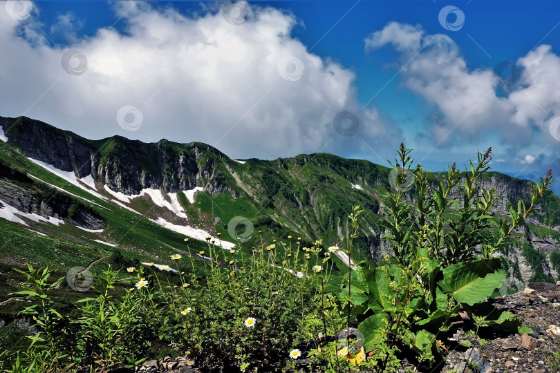 Скачать Великолепная панорама Кавказа. Солнечный радостный летний день. фотосток Ozero