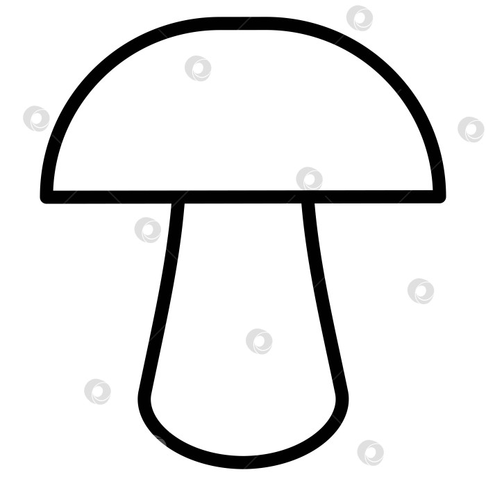 Скачать Значок гриба. Значок грибов в виде контура или линии. фотосток Ozero