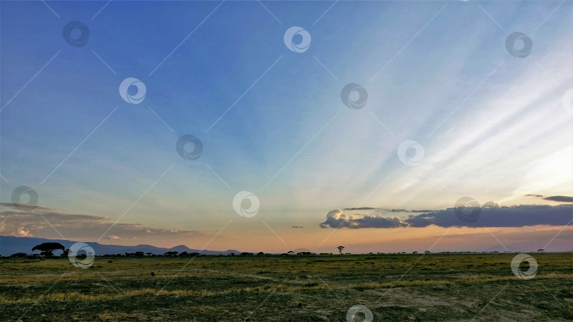 Скачать Прекрасный закат в Кении. Бескрайняя саванна покрыта травой. фотосток Ozero
