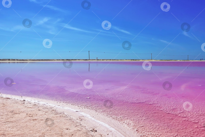 Скачать Удивительное соленое озеро в Мексике. Насыщенная розовая вода, отложения соли на песке фотосток Ozero