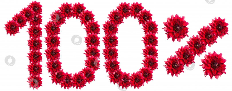 Скачать цифры 100% букв, написанных цветами фотосток Ozero