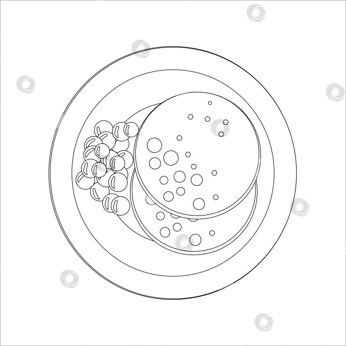 Скачать Изолированные векторные изображения продуктов питания. Завтрак на тарелке. Два круглых блинчика и горсть черники. Черно-белая линейная художественная иконка. Страница книжки-раскраски для детей. Векторная иллюстрация продуктов питания фотосток Ozero
