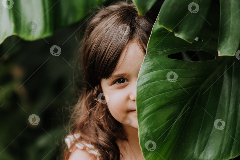 Скачать ребенок девочка с пальмовым листом, пространство для текста. Натуральная косметика, экология, экзотические страны. Фотография высокого качества фотосток Ozero