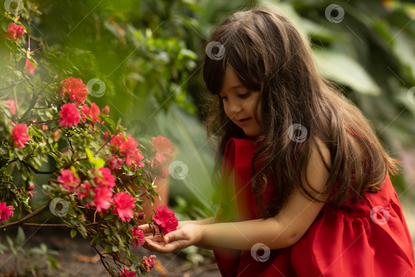 Скачать симпатичная девочка-брюнетка в красном платье гуляет летом среди пальм в парке. Фотография высокого качества фотосток Ozero