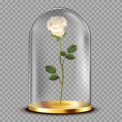 [object Object] undefined