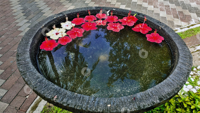 Скачать Каменная чаша с водой и композиция из декоративных цветов. фотосток Ozero