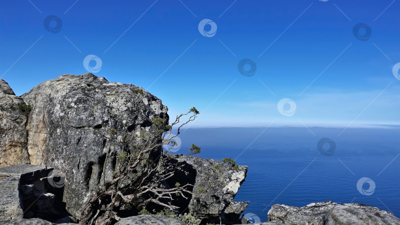 Скачать Вершина Столовой горы, Кейптаун. Солнечный летний день. фотосток Ozero