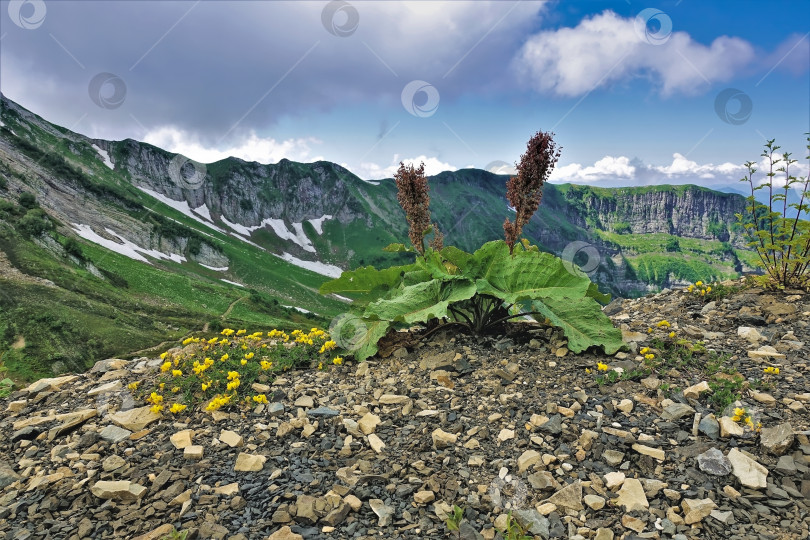 Скачать Панорама Кавказских гор летом. фотосток Ozero