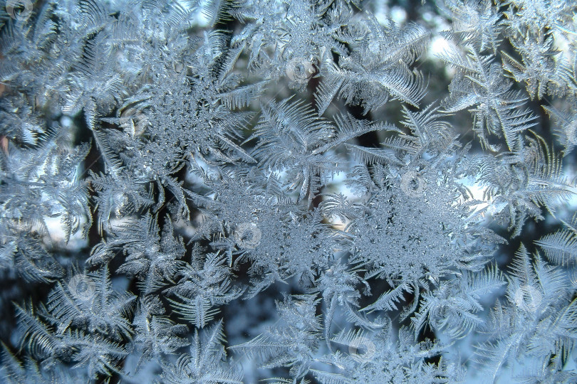 Скачать нежный натуральный морозный узор на стекле в доме фотосток Ozero