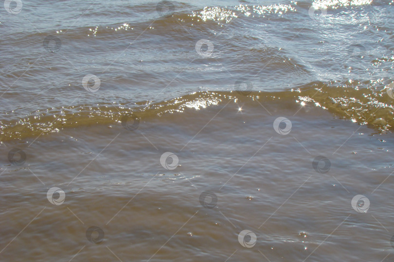 Скачать вода с небольшими волнами на пляже фотосток Ozero
