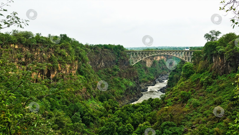 Скачать В ущелье с крутыми склонами протекает река Замбези. фотосток Ozero